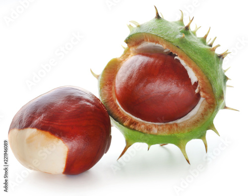 Horse chestnuts