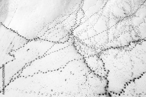 ścieżki w białym słonym jeziorze w widoku drona