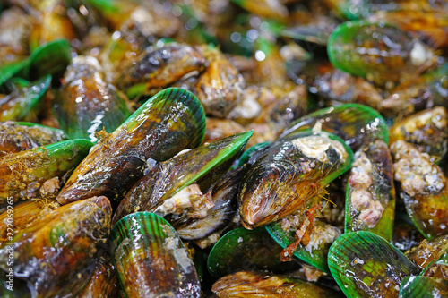 Green lipped New Zealand mussels at the fish market