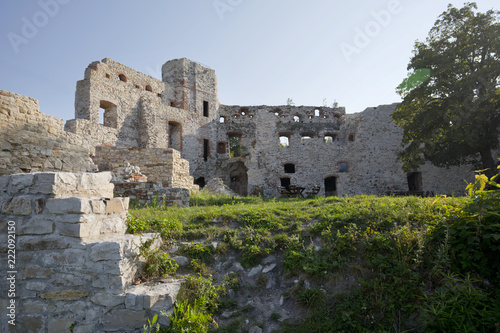 Zamek Tenczyn – ruiny średniowiecznego zamku leżącego na Jurze Krakowsko-Częstochowskiej,