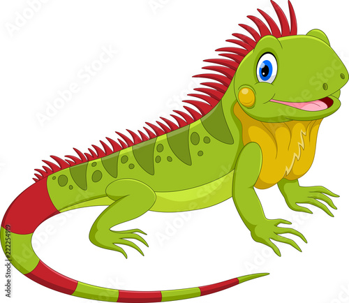 Vector illustration of cute iguana cartoon isolated on white background