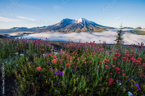 Mount St Helens in Summer