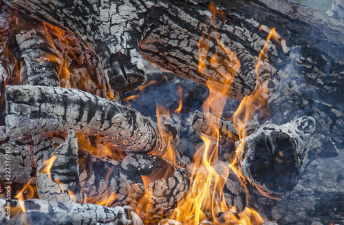 Drewno palące się w ognisku