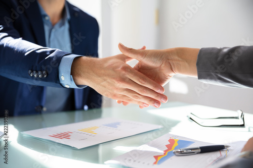 Businessman Shaking Hands With His Partner