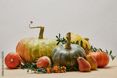 autumnal decor with pumpkins, tasty pears and pyracantha berries on table