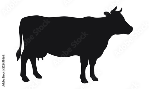 Cow graphic icon. Cow black silhouette isolated on white background. Vector illustration