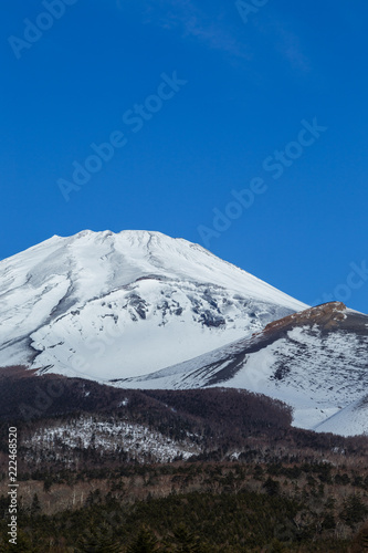 静岡県側からの冬の富士山（縦）