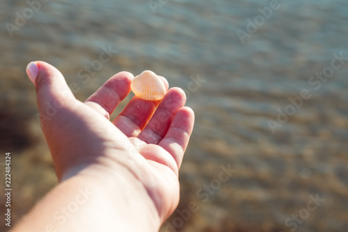 travel trip tourism. summer vacation holiday destination. hand holding a sea shell.