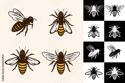 Vector bee icons