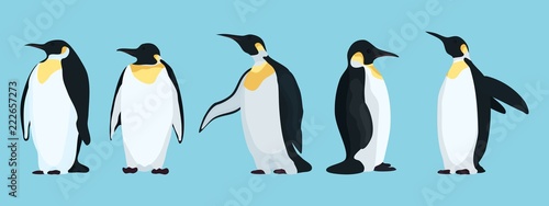 bright penguins characters in different poses