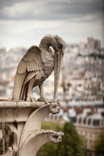 Notre Dame Cathedral Paris