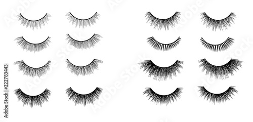 Faux lashes set isolated on white background, Vector illustration