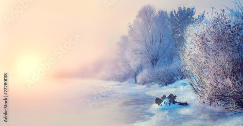 Beautiful winter landscape scene background with snow covered trees and iced river. Beauty sunny winter backdrop. Wonderland. Frosty trees in snowy forest