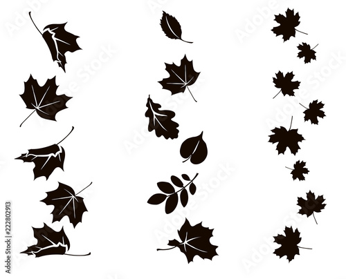 Autumn falling leaves. Vector silhouette of maple, oak, rowan and other leaves. Set of autumn decorations.