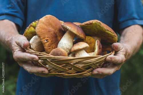 Man holding a wicker basket full of beautiful edible mushrooms in his hands. 