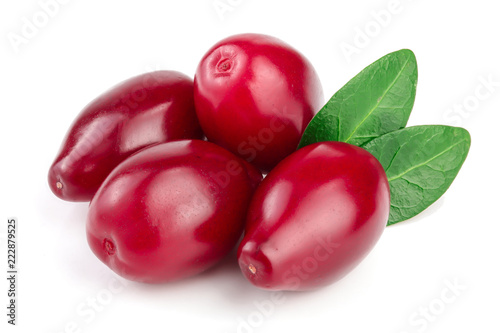 Red berries of cornel or dogwood with leaf isolated on white background