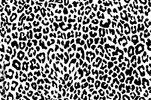 Leopard seamless pattern. White and black. Animal print. Vector background.