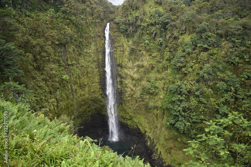 Akaka Waterfalls Big Island Hawaii USA