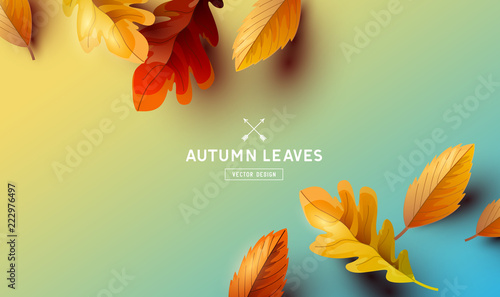 Vector Autumn Falling Leaves Background