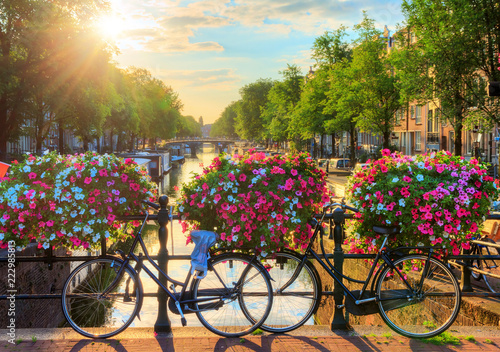 Beautiful summer sunrise on the famous UNESCO world heritage canals of Amsterdam, The Netherlands, with vibrant flowers and bicycles on a bridge 