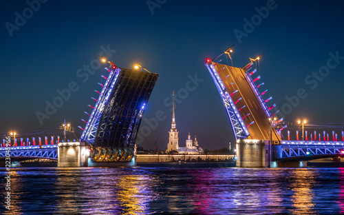 Divorced Palace Bridge in front of Peter and Paul fortress. Sankt Peterburg.