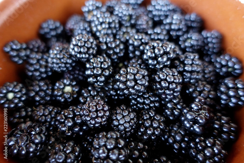 moras silvestres