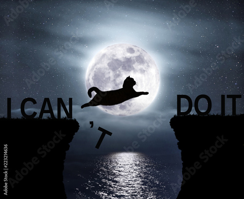 The brave cat jumping over the abyss. I can do it. Positive attitude and motivation