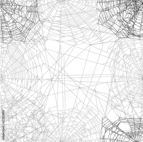 dense grey spider square web