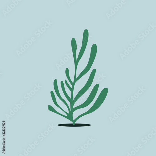 Green aqua seaweed algae illustration
