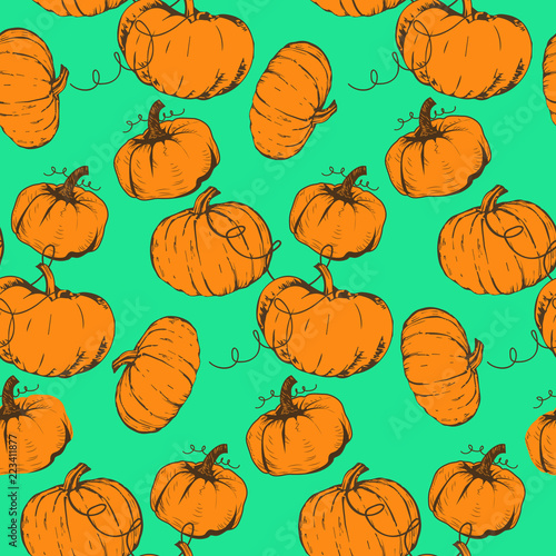 Hand drawn pumpkin seamless pattern. Vector vintage vegetables illustration. For wrapping paper, street festival, farmers market, country fair, shop, menu, cafe, restaurant. Vector background.