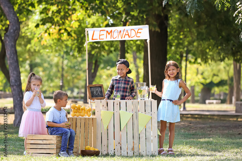 Little African-American boy selling lemonade at counter in park