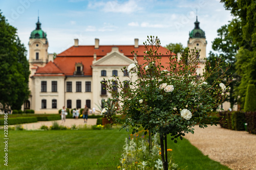 white roses against the background of the palace in Kozlowka