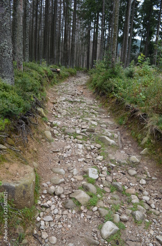 Tatry - łatwy szlak na Kopieniec Wielki