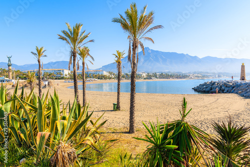 View of beautiful beach with palm trees in Marbella near Puerto Banus marina, Andalusia, Spain