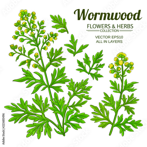 wormwood vector set