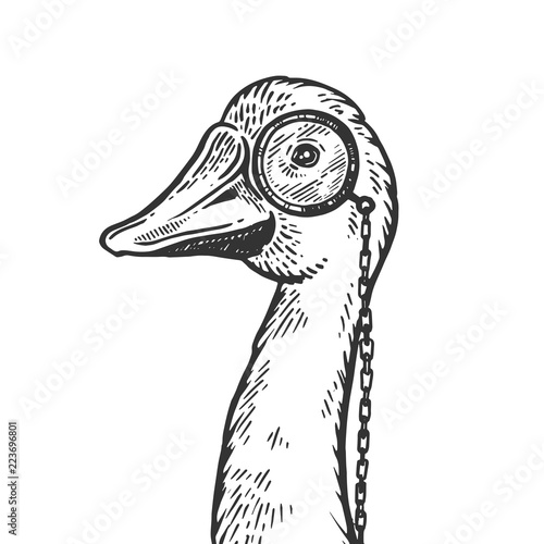 Goose bird witn monocle engraving vector illustration. Scratch board style imitation. Black and white hand drawn image.