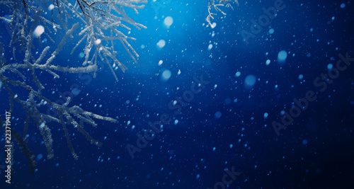 art blue Christmas background; Snowy Christmas tree branch and snowy sky