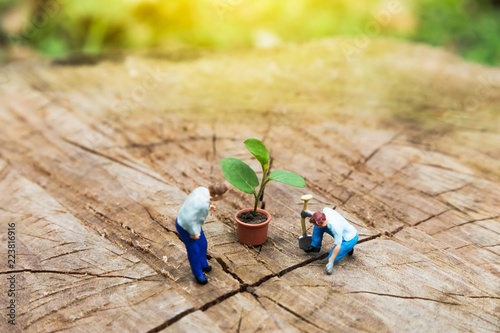 Miniature Greenhouse concept, miniature mini figures with planting tree and protect nature background. Replacement of old trees. Save the wolrd concept.