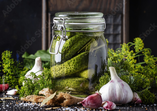 Homemade marinated or pickled cucumbers with dill, garlic and spices in big glass jar on rustic brown table, selective focus