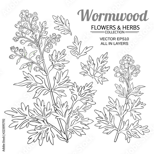 wormwood vector set