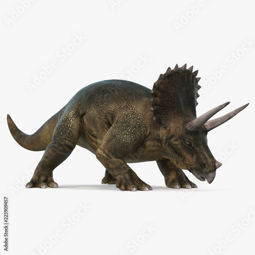 Triceratops dinosaur on bright background. 3D illustration