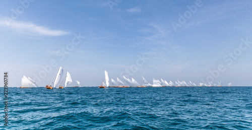 Traditional sailing dhows race back to Abu Dhabi at 60 Feet Dhow Sailing Race