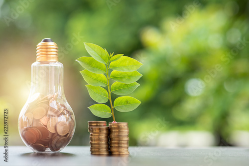 Energy saving. stacks of coins growing in light bulb and tree growing on stacks of coins and tree nature background. Saving, Natural energy and financial concept.
