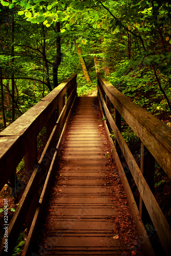 Beautiful wooden mountain bridge in a fresh green forest is a perfect scene for hiking in a moody autumn nature landscape. Ilsetal in Ilsenburg, National Park Harz in Germany