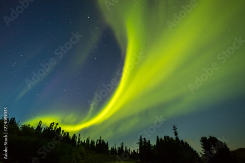 秋のアラスカのオーロラ Aurora Alaska autumn 