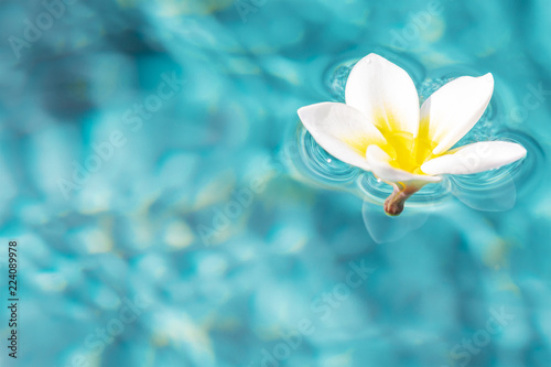Flower of plumeria floating in the turquoise water surface. Water fluctuations copy-space. Spa concept background