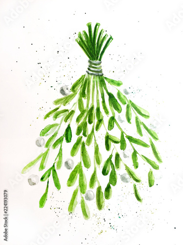 viscum green watercolor illustration christmas merry