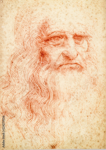 Leonardo da vinci portrait postcard