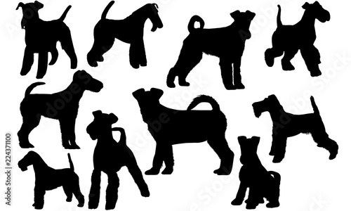 Fox Terrier Dog svg files cricut, silhouette clip art, Vector illustration eps, Black Dog overlay