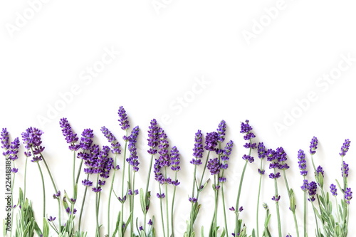 Flowers composition. Frame made of fresh lavender flowers on white background. Lavender, floral background. Flat lay, top view, copy space